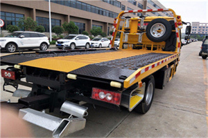 定日24小时汽车送油服务公司